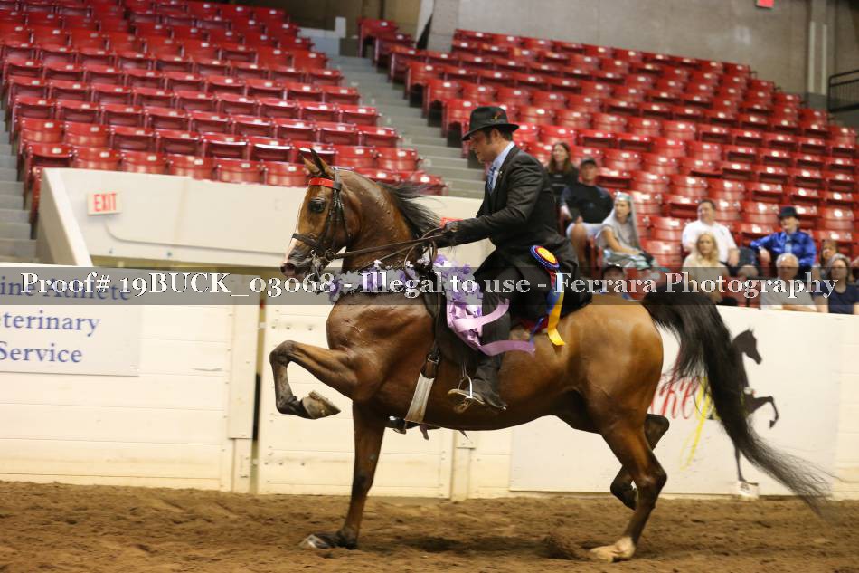 Proof 19BUCK_03068