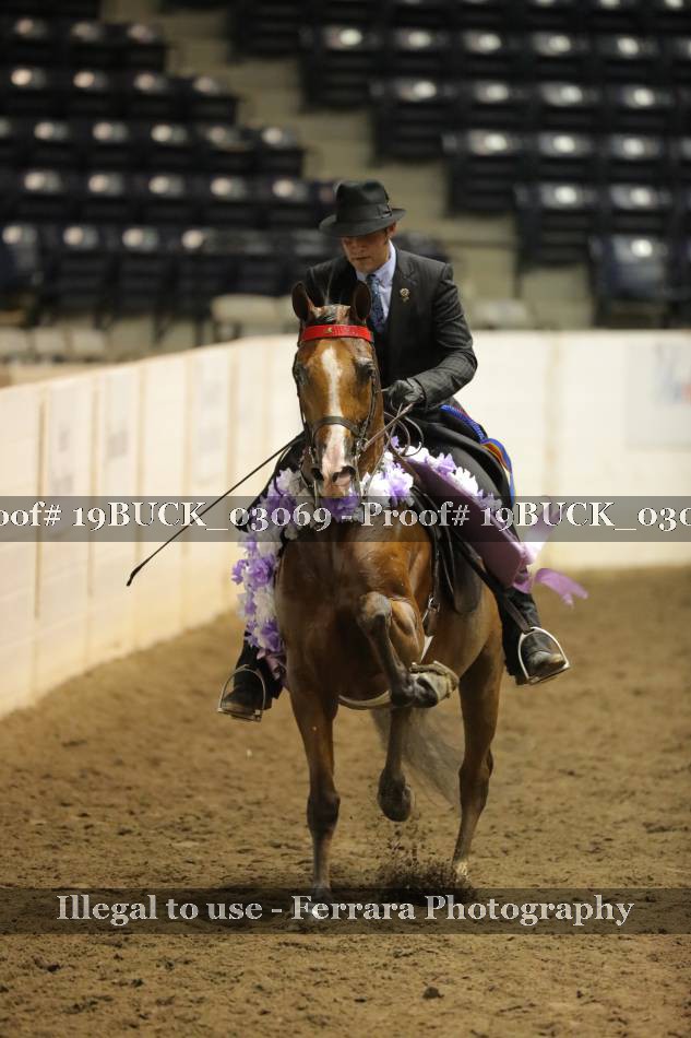 Proof 19BUCK_03069