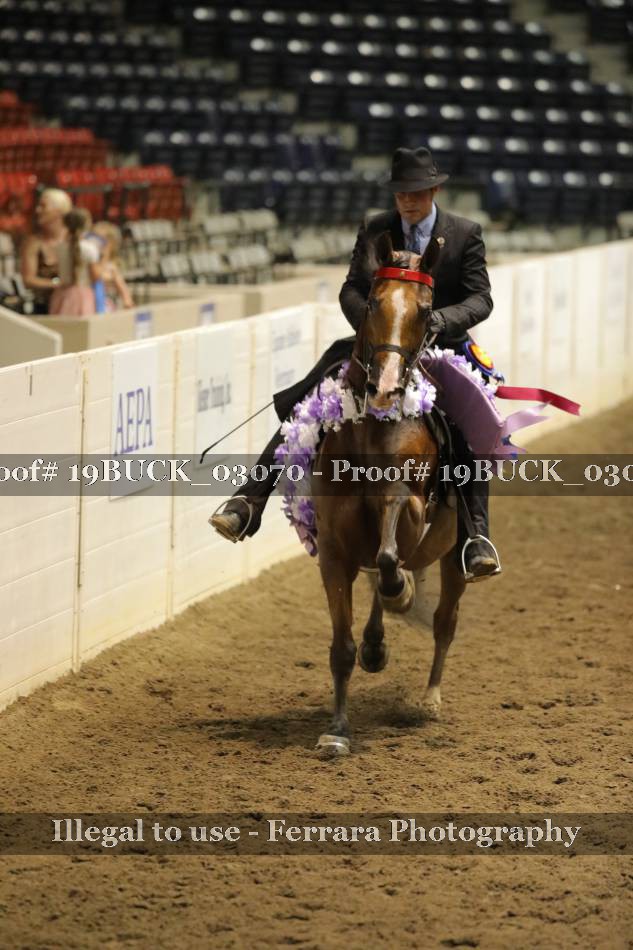Proof 19BUCK_03070