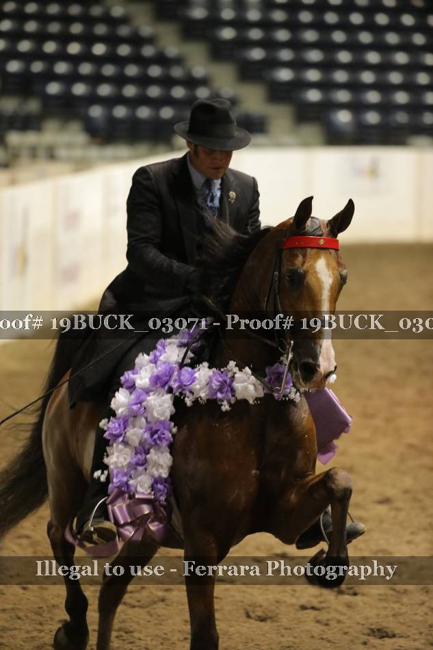 Proof 19BUCK_03071