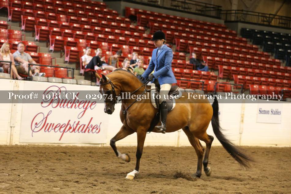Proof 19BUCK_02974