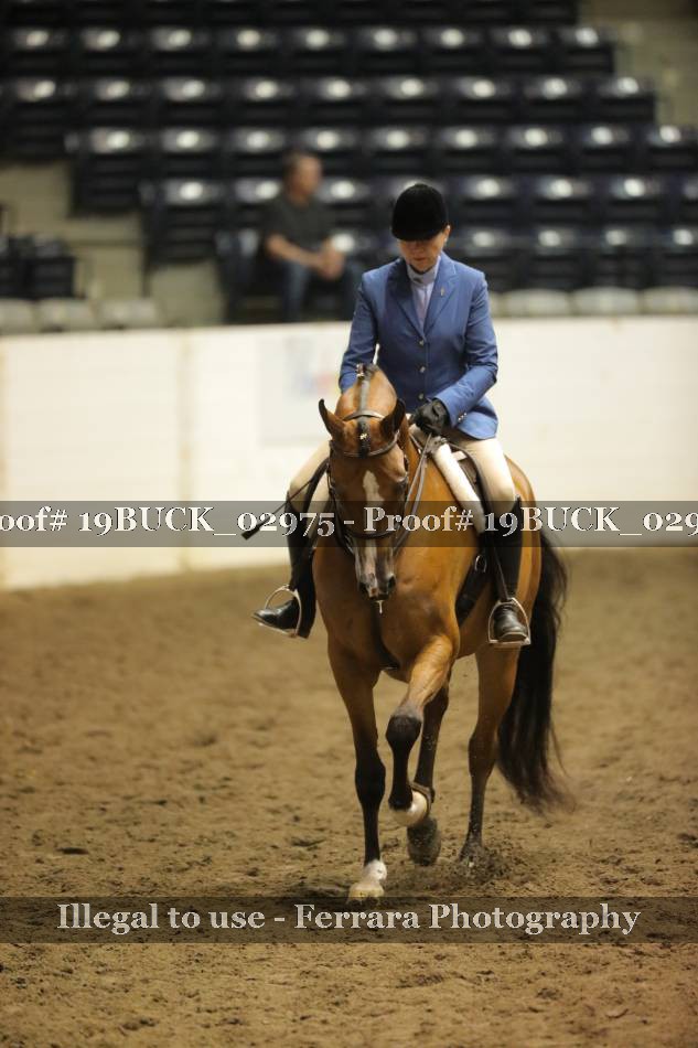 Proof 19BUCK_02975