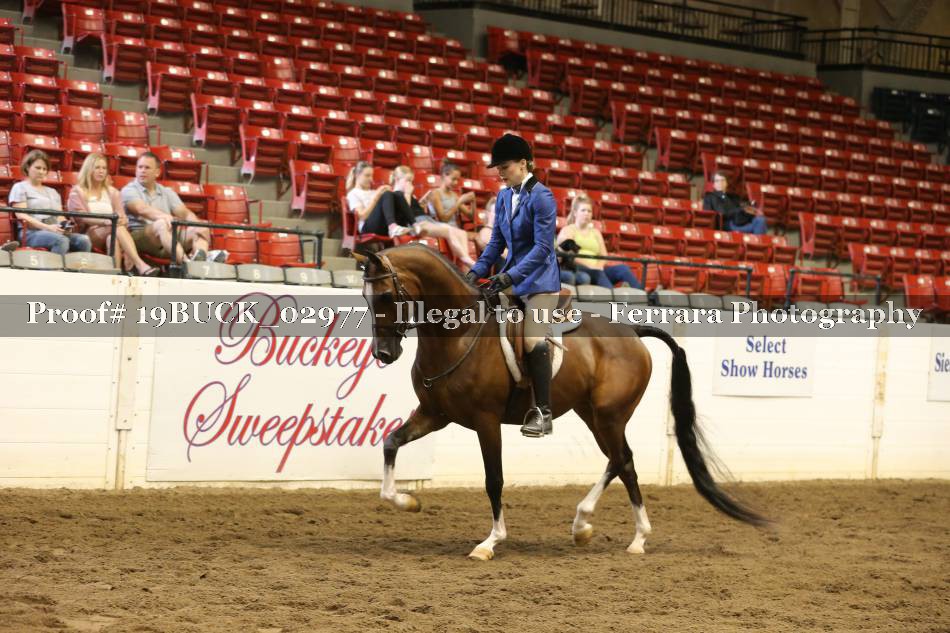 Proof 19BUCK_02977