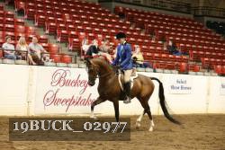 19BUCK_02977 proof