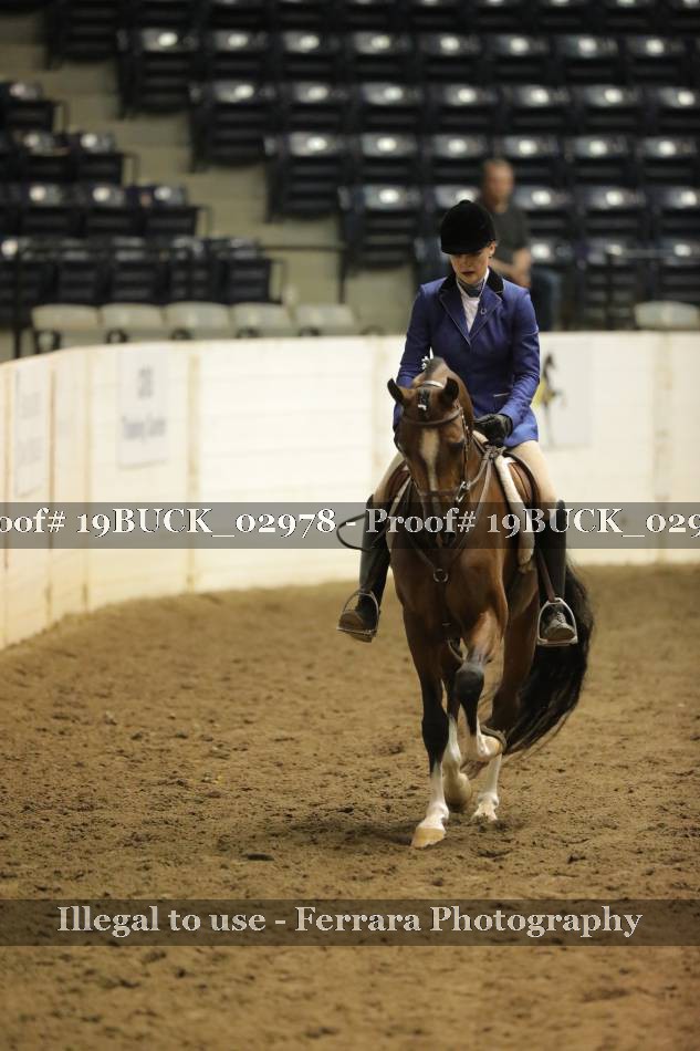 Proof 19BUCK_02978
