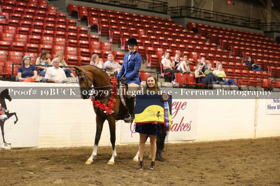Proof 19BUCK_02979