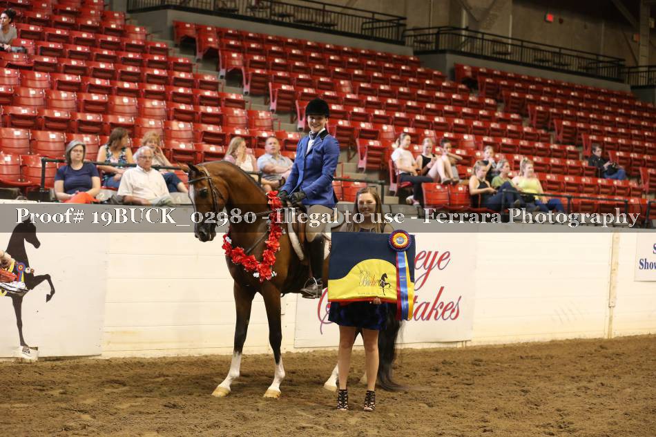 Proof 19BUCK_02980