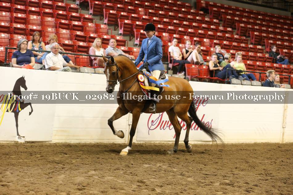 Proof 19BUCK_02982