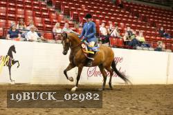 19BUCK_02982 proof