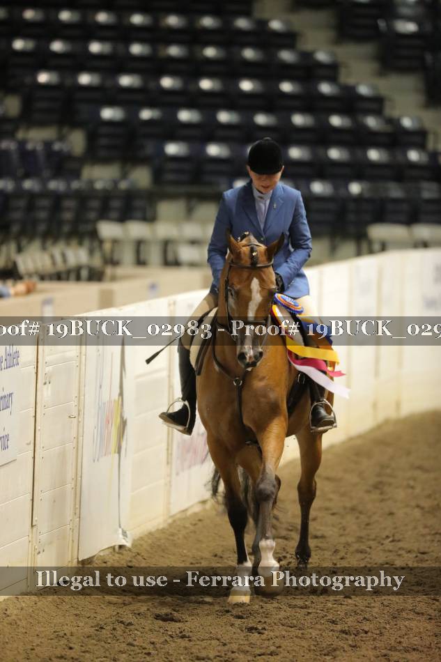 Proof 19BUCK_02983