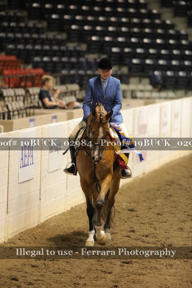 Proof 19BUCK_02984
