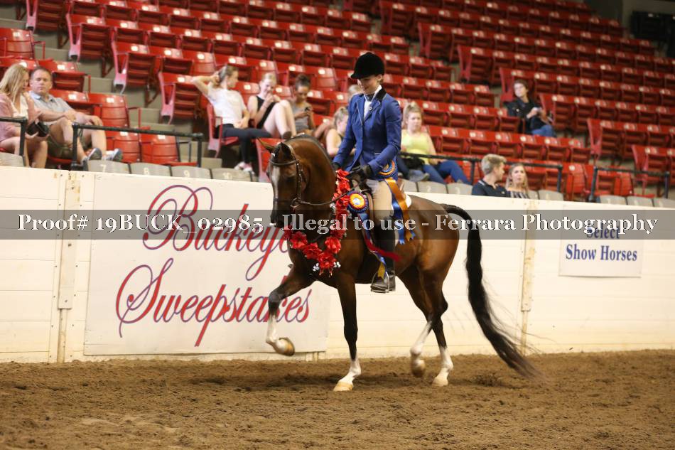 Proof 19BUCK_02985