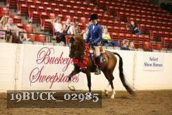 19BUCK_02985 proof