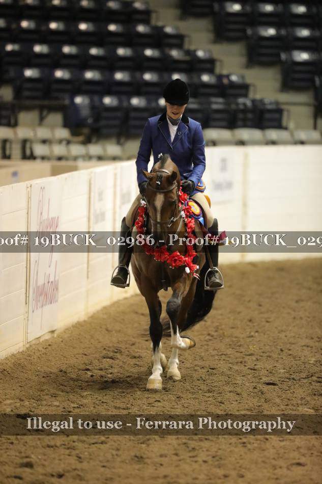 Proof 19BUCK_02986