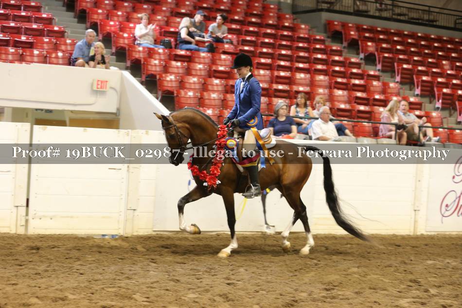 Proof 19BUCK_02987