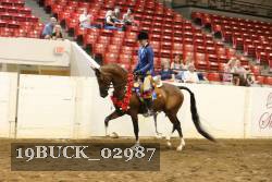 19BUCK_02987 proof