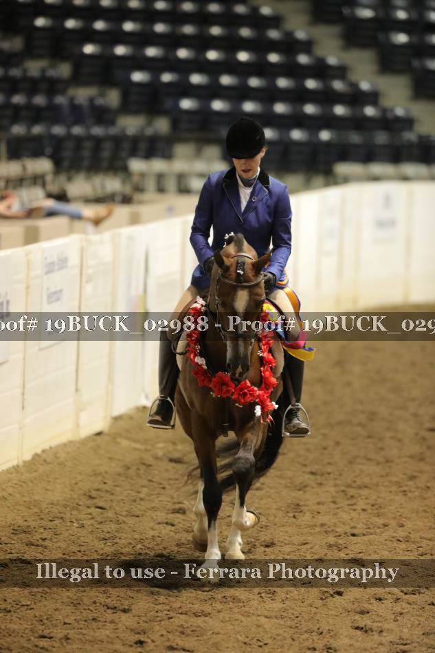 Proof 19BUCK_02988