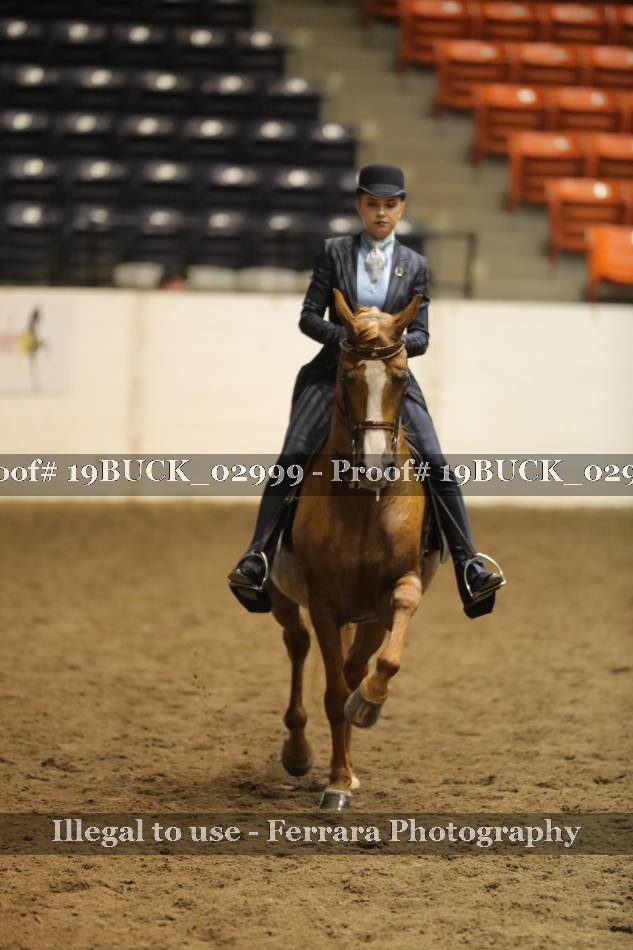 Proof 19BUCK_02999