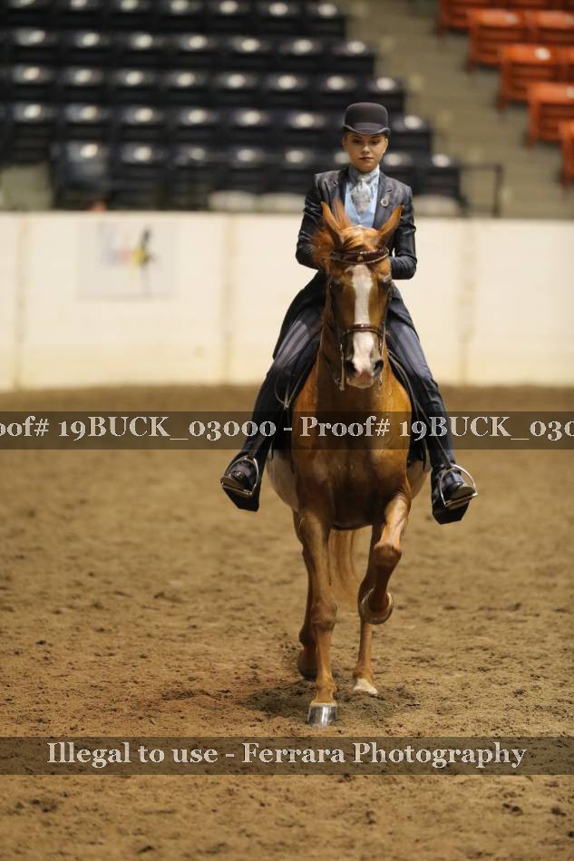 Proof 19BUCK_03000