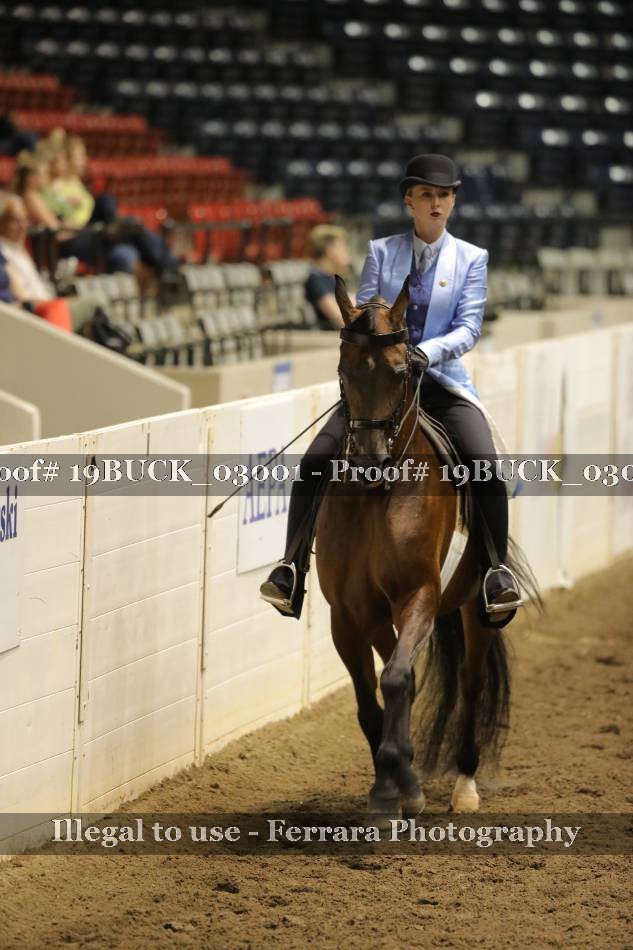 Proof 19BUCK_03001