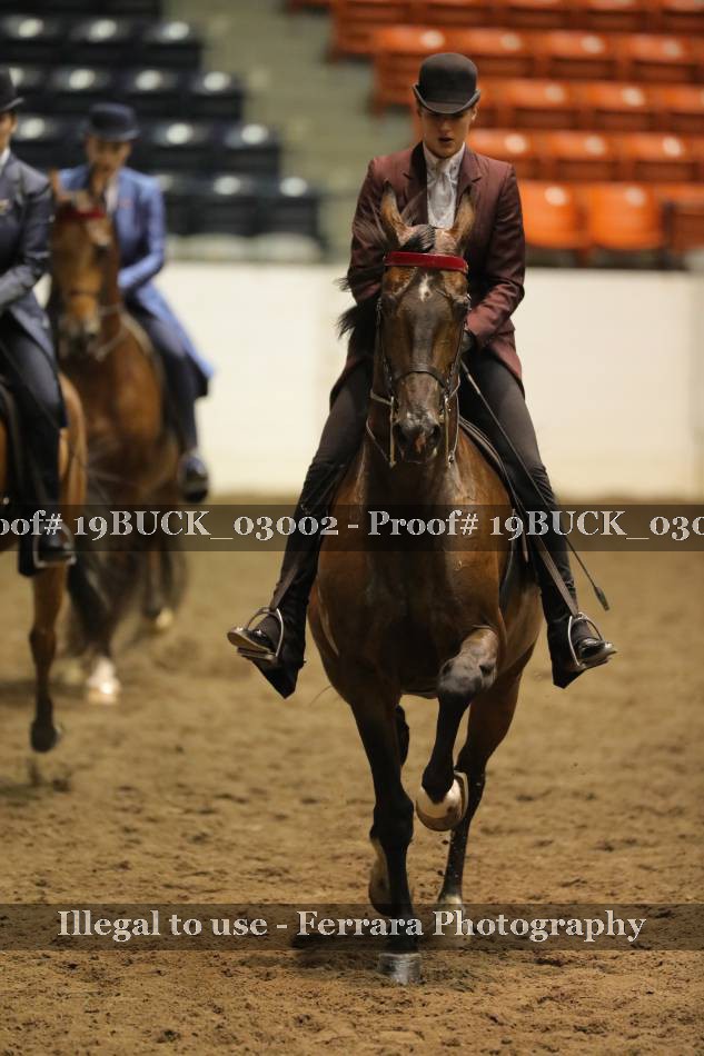 Proof 19BUCK_03002
