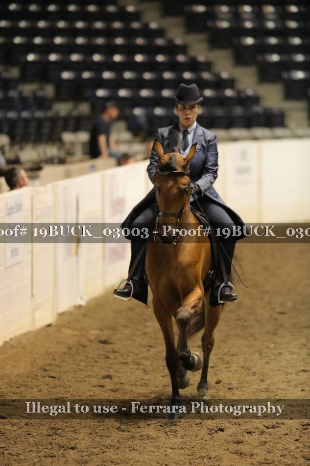 Proof 19BUCK_03003