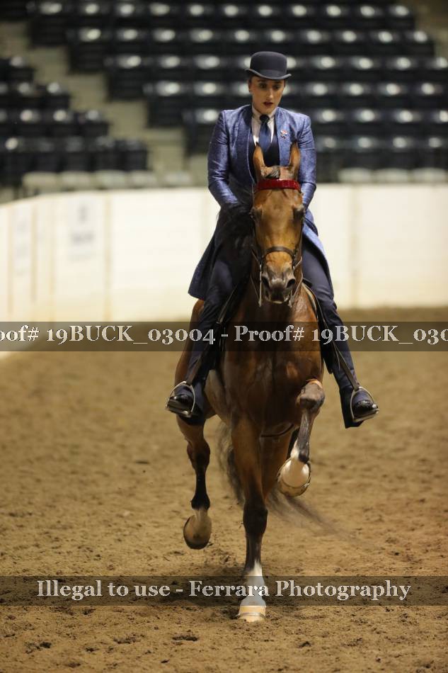 Proof 19BUCK_03004