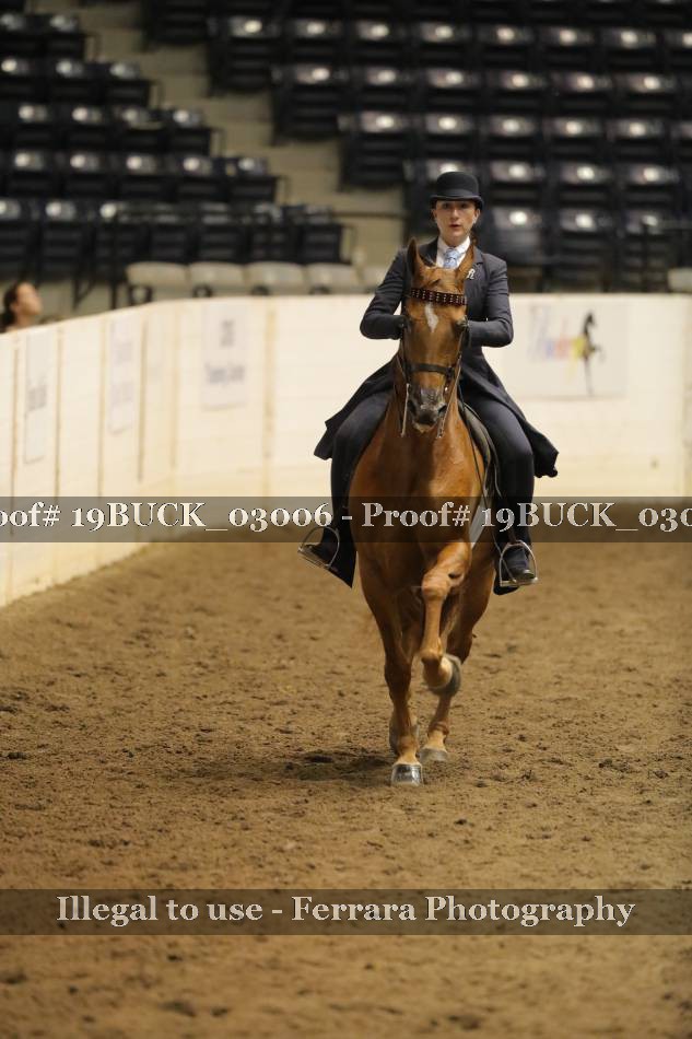 Proof 19BUCK_03006