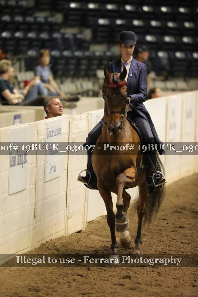 Proof 19BUCK_03007