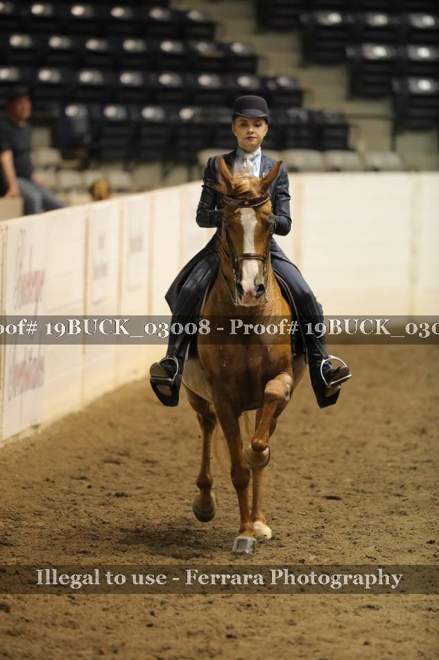 Proof 19BUCK_03008