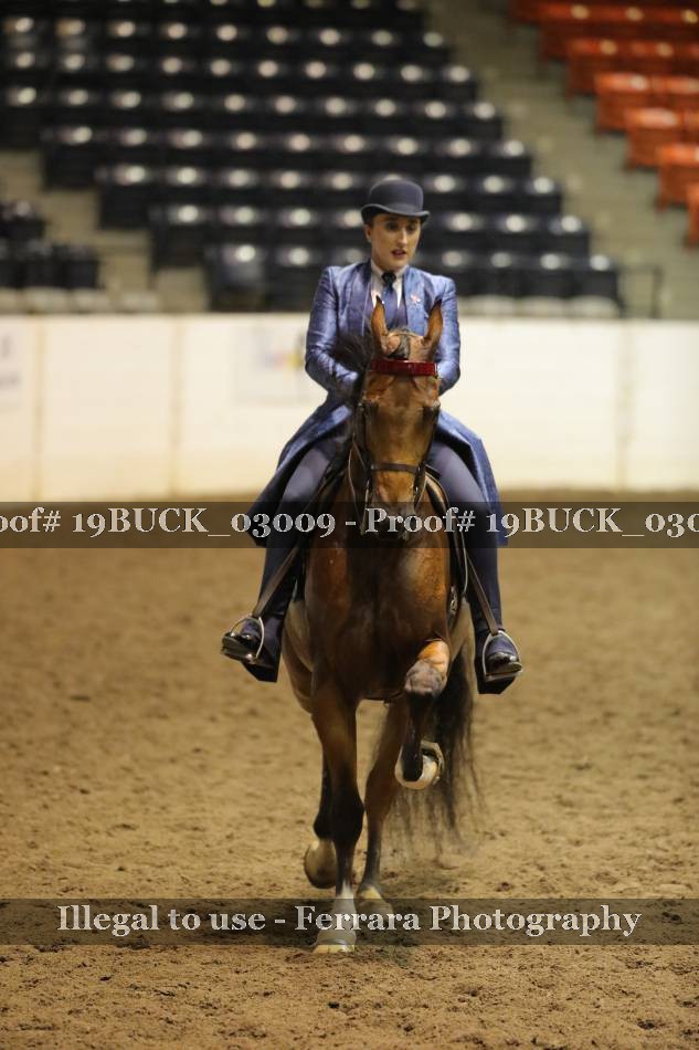 Proof 19BUCK_03009