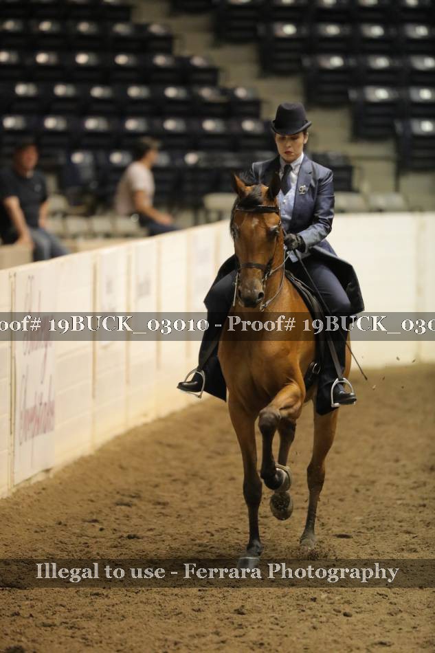 Proof 19BUCK_03010