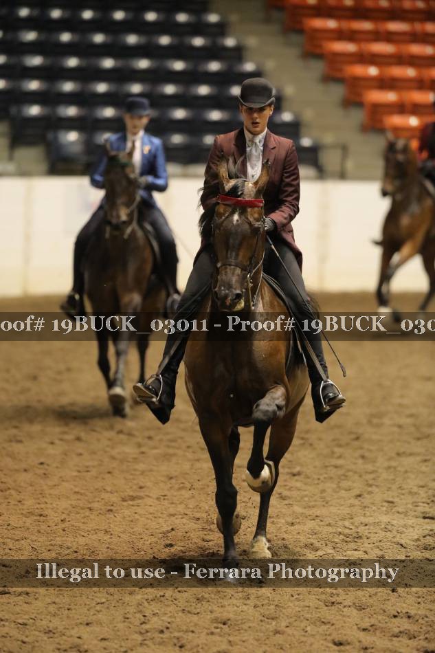 Proof 19BUCK_03011