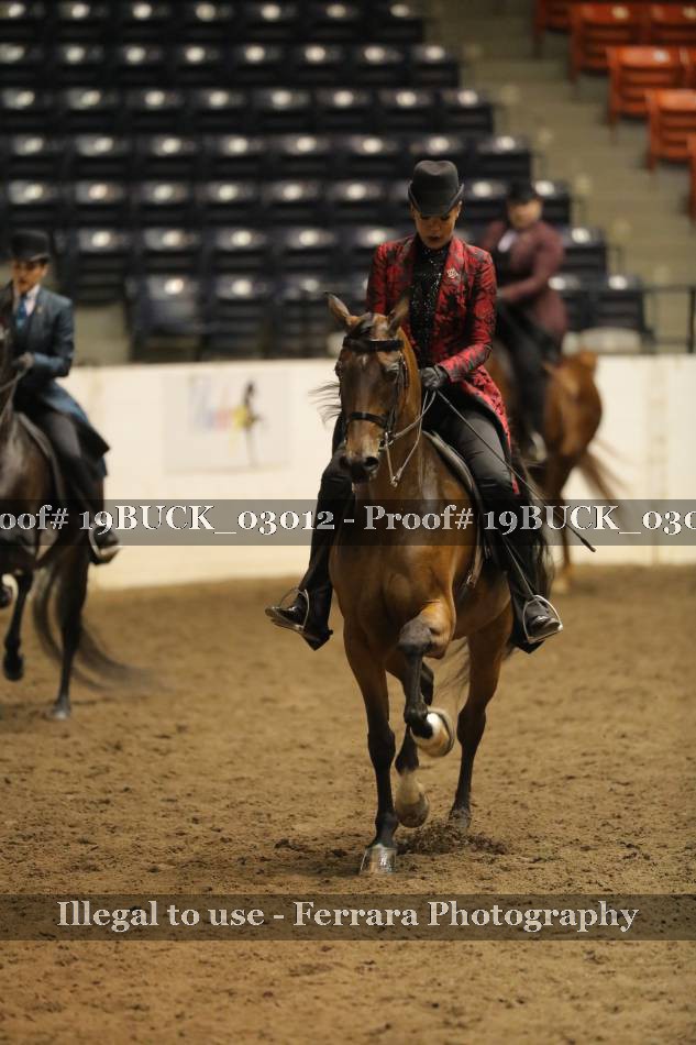 Proof 19BUCK_03012