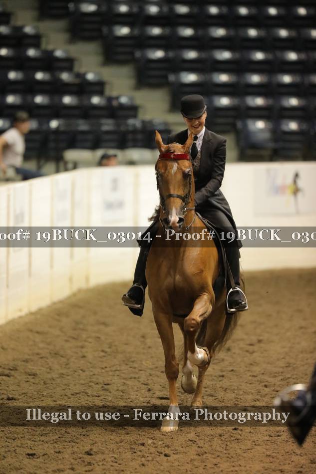 Proof 19BUCK_03014