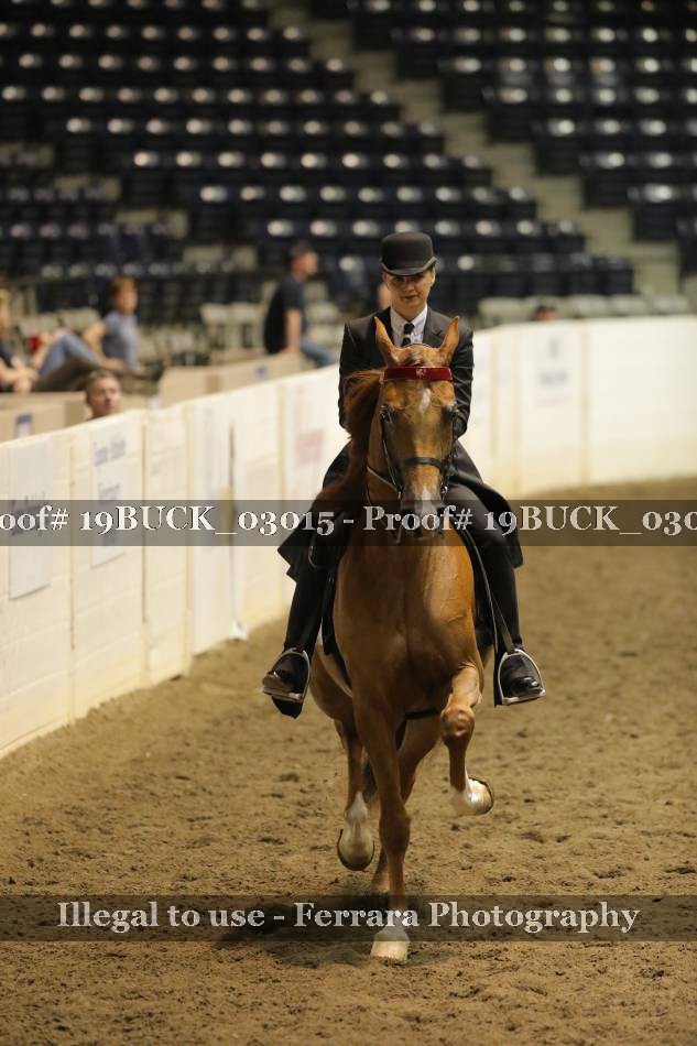 Proof 19BUCK_03015