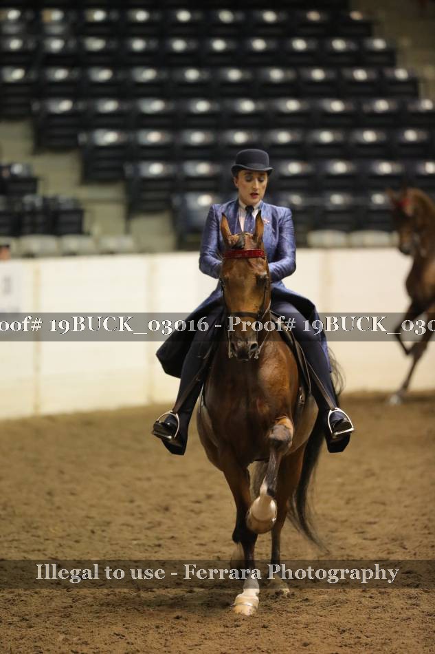 Proof 19BUCK_03016