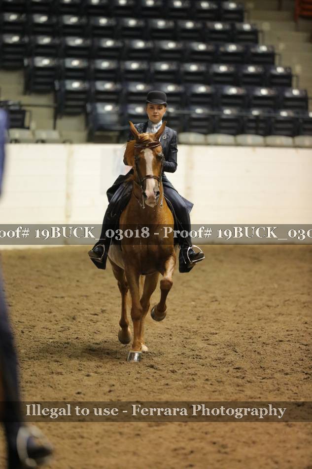 Proof 19BUCK_03018