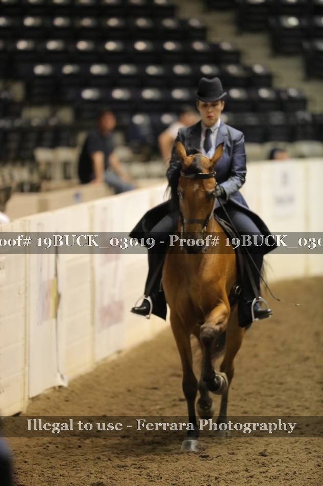 Proof 19BUCK_03019