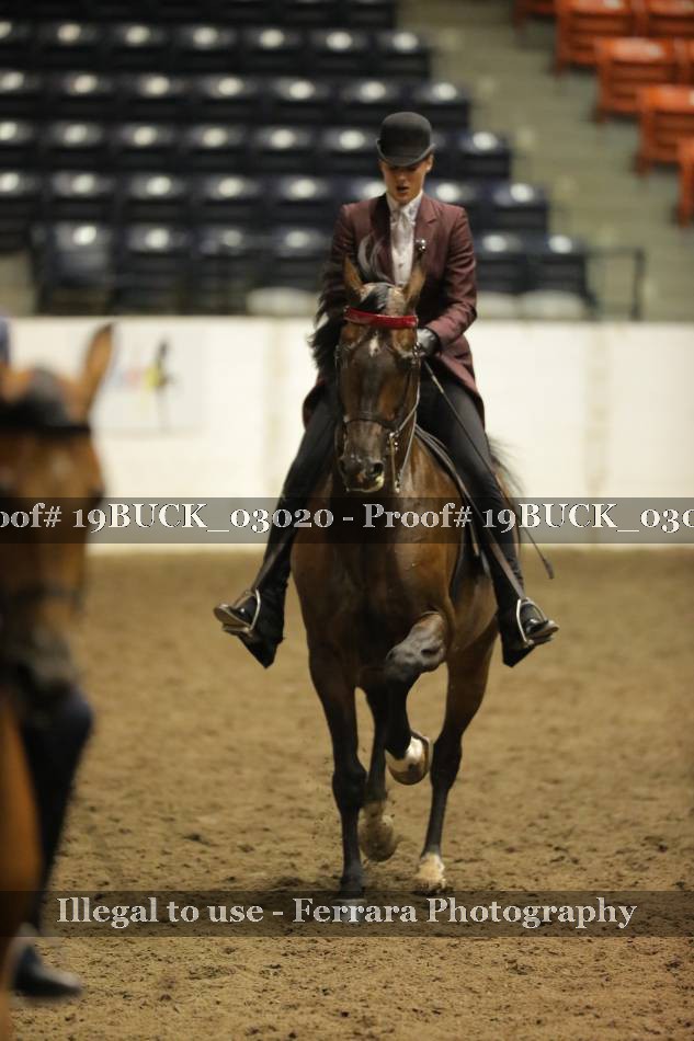 Proof 19BUCK_03020