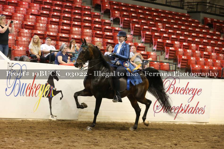 Proof 19BUCK_03022