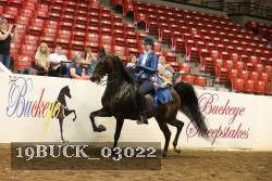 19BUCK_03022 proof