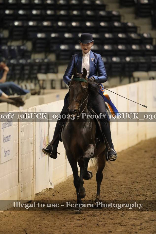 Proof 19BUCK_03023