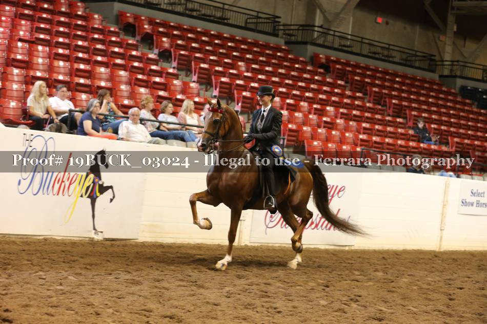 Proof 19BUCK_03024