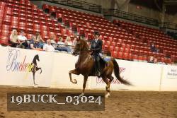 19BUCK_03024 proof