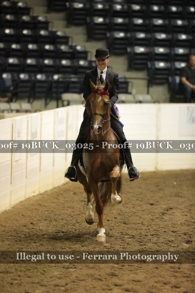 Proof 19BUCK_03025