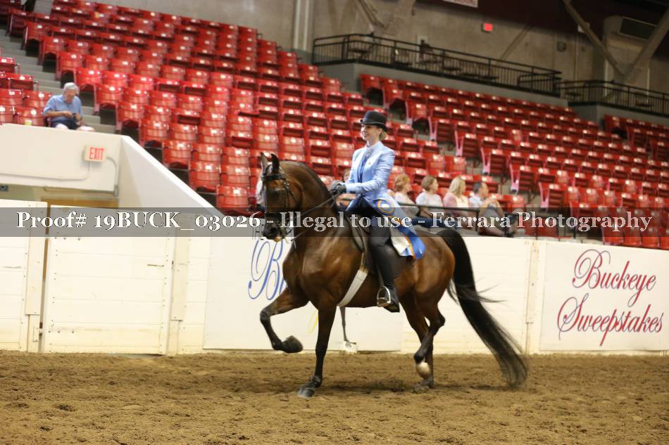 Proof 19BUCK_03026