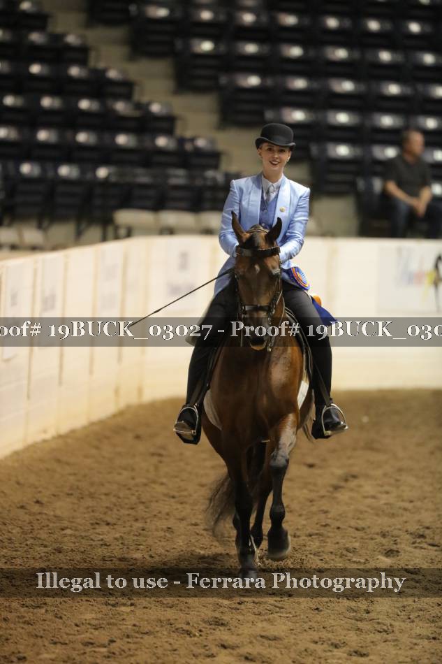 Proof 19BUCK_03027