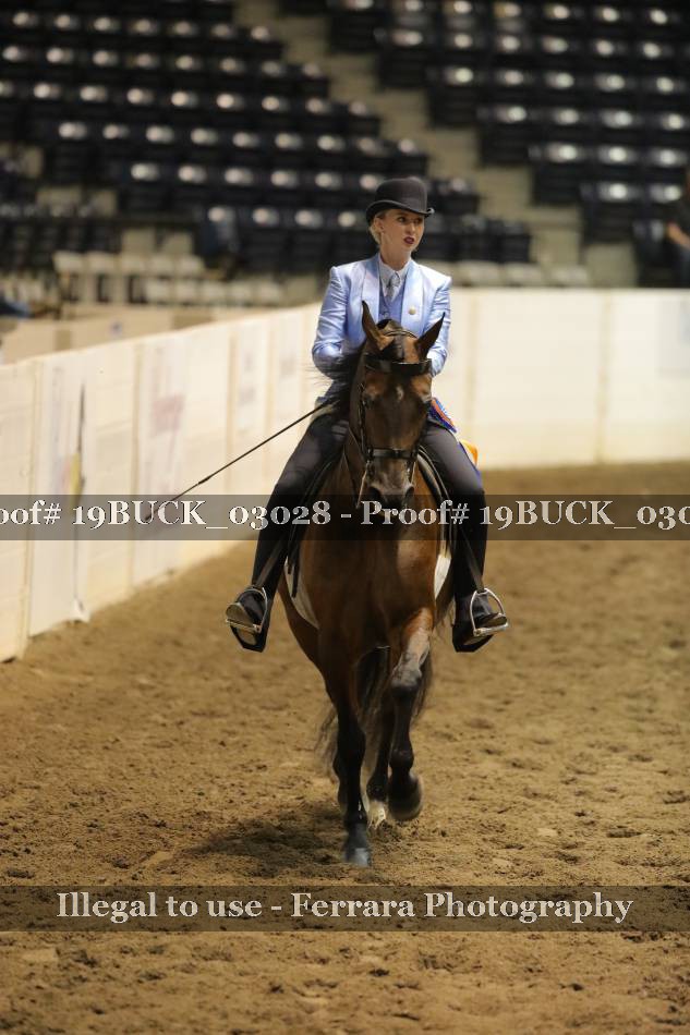 Proof 19BUCK_03028