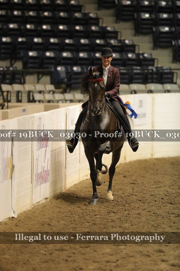 Proof 19BUCK_03030